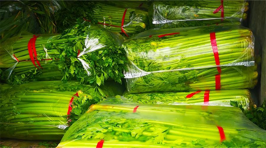 猎头公司向武汉社区捐赠新鲜蔬菜20吨